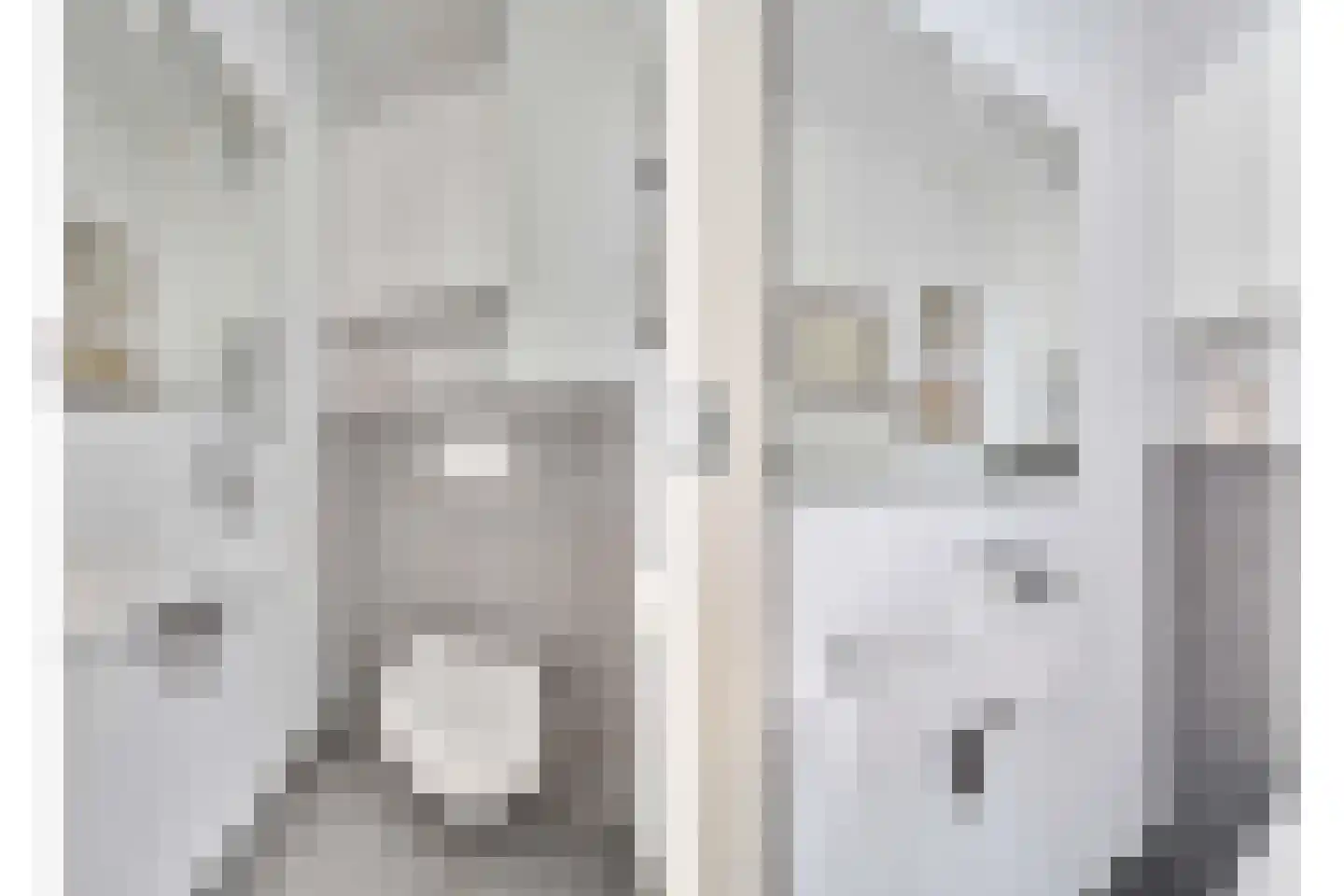Fonteynenburghlaan 28 Voorburg thumbnail 8