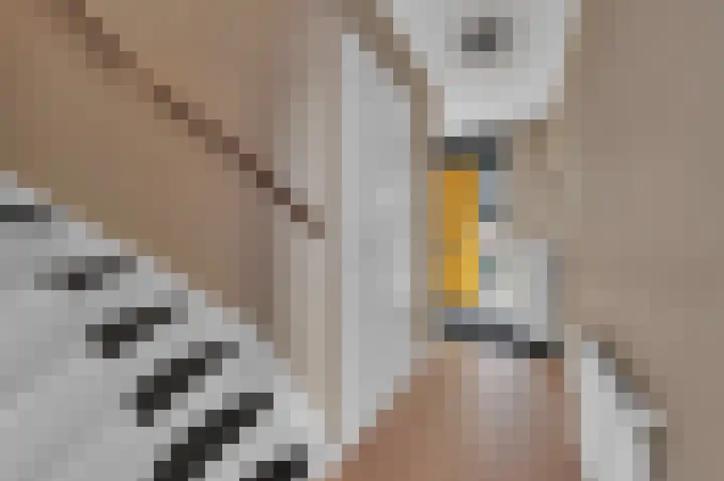 Fontijnehof 5 Krimpen aan den IJssel thumbnail 6
