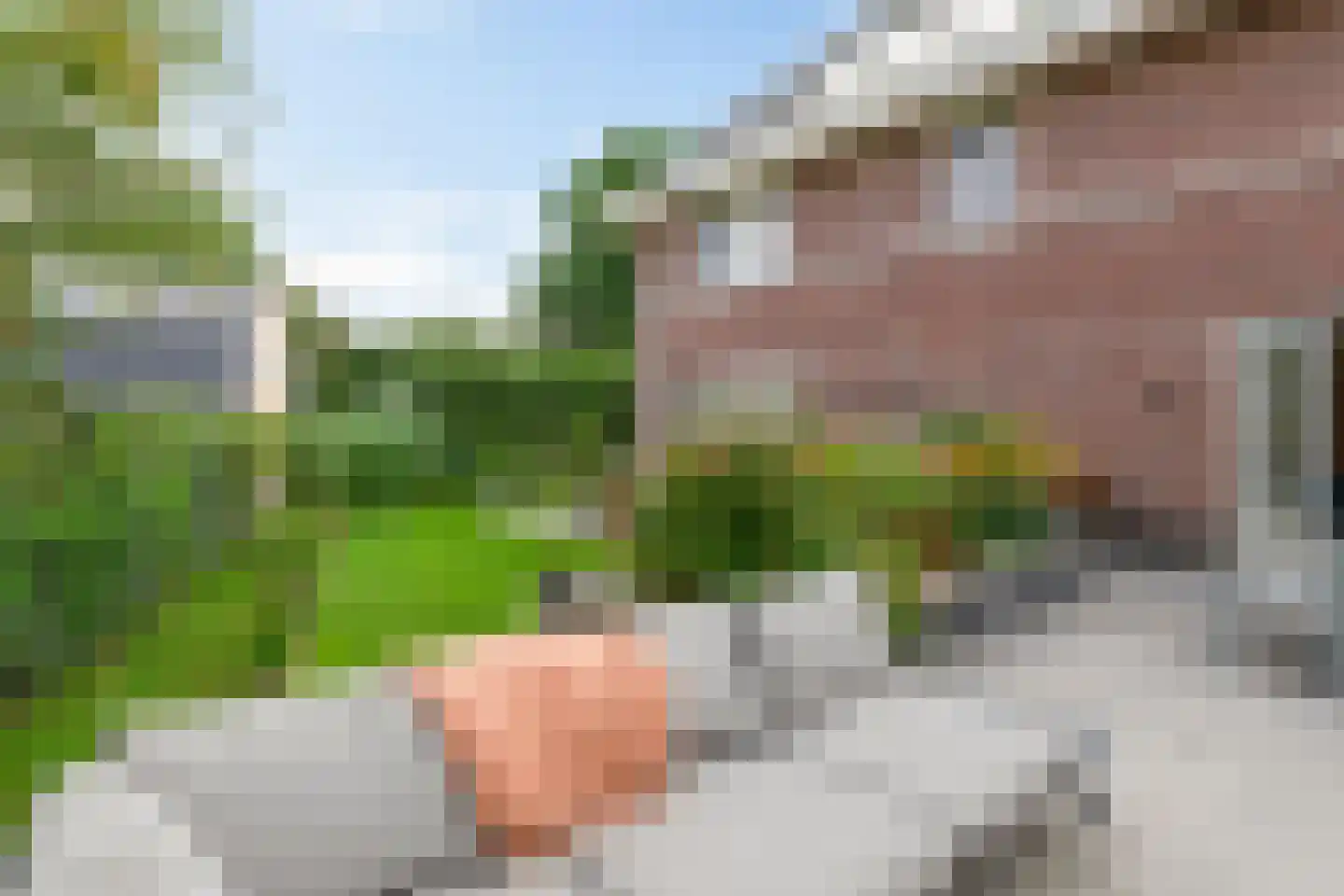 Fop I. Brouwerhof 2 Haren Gn thumbnail 25