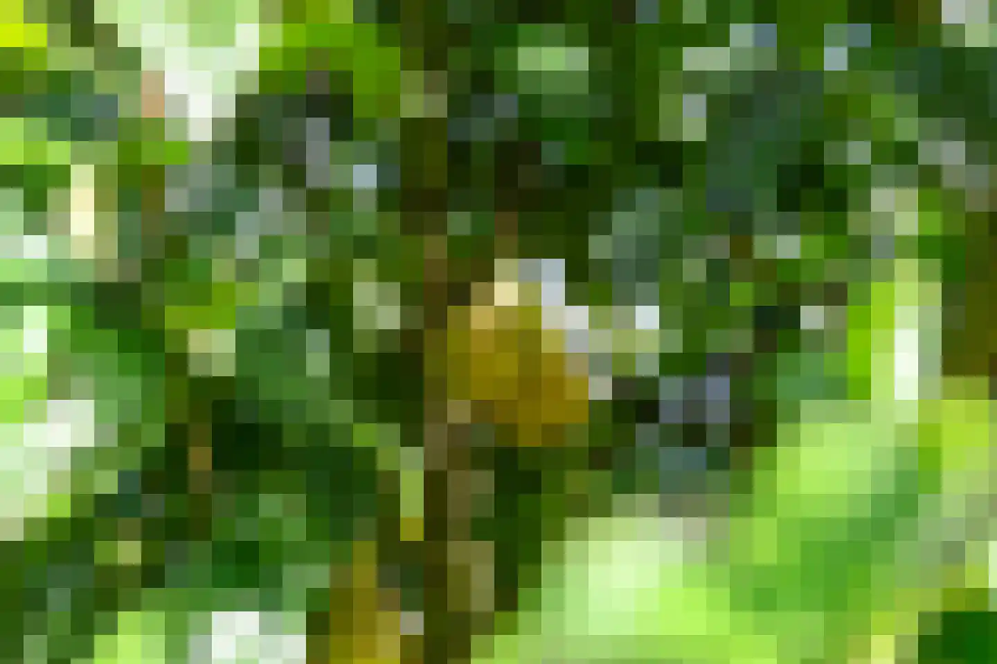 Fop I. Brouwerhof 2 Haren Gn thumbnail 29