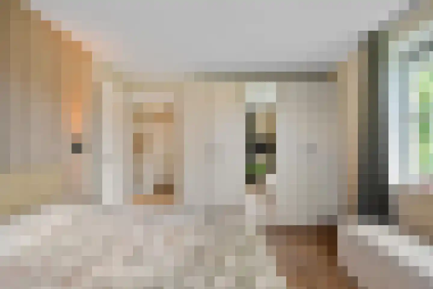 Fop I. Brouwerhof 2 Haren Gn thumbnail 32