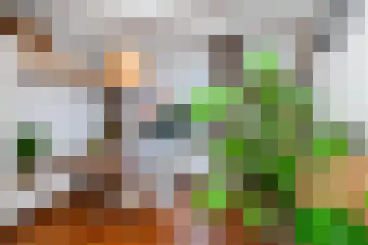 Fop Smitstraat 29 Alblasserdam thumbnail 10