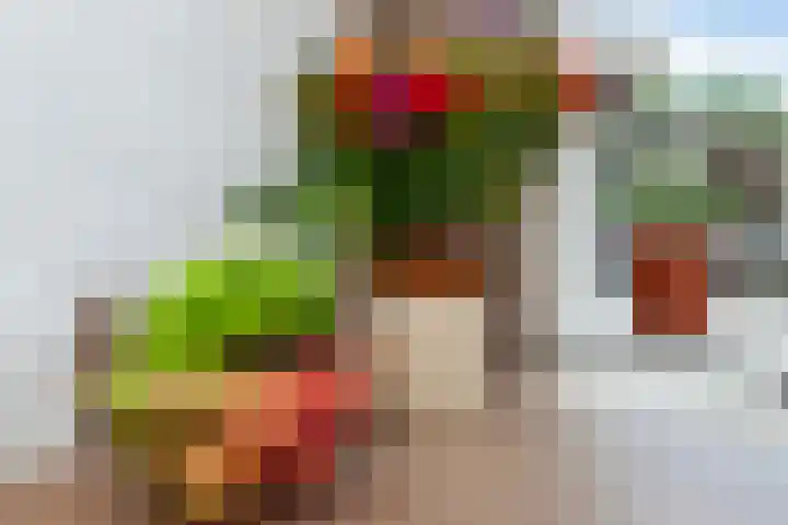 Fop Smitstraat 29 Alblasserdam thumbnail 11