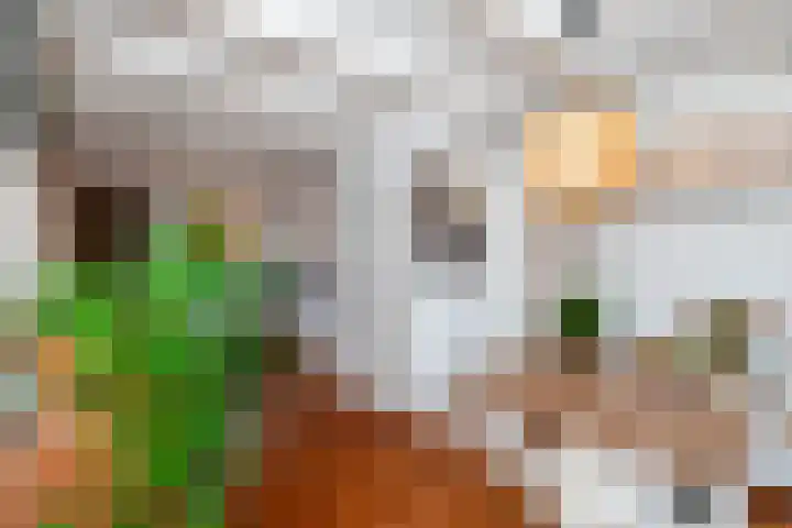 Fop Smitstraat 29 Alblasserdam thumbnail 13