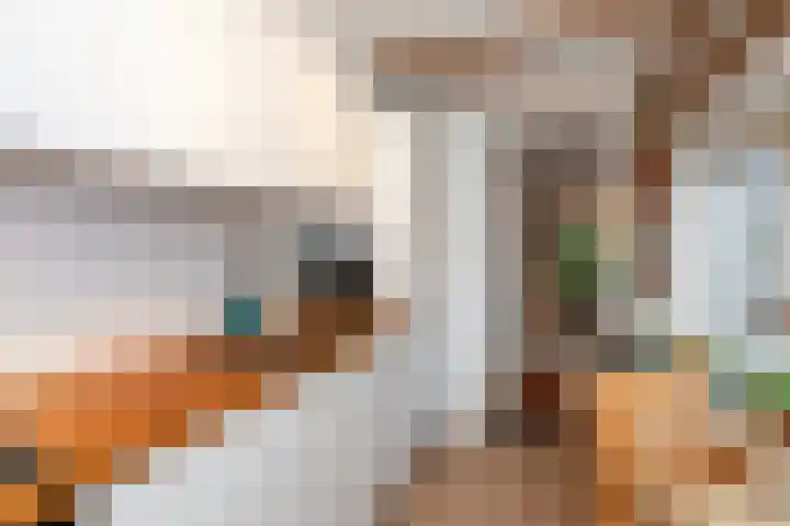 Fop Smitstraat 29 Alblasserdam thumbnail 16