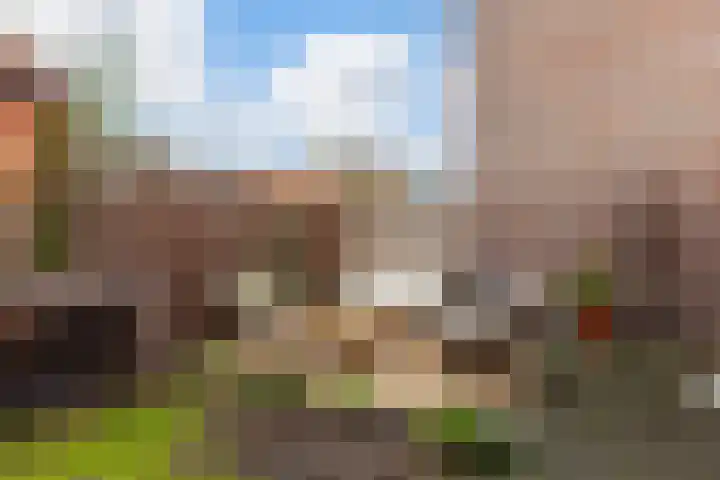 Fop Smitstraat 29 Alblasserdam thumbnail 31