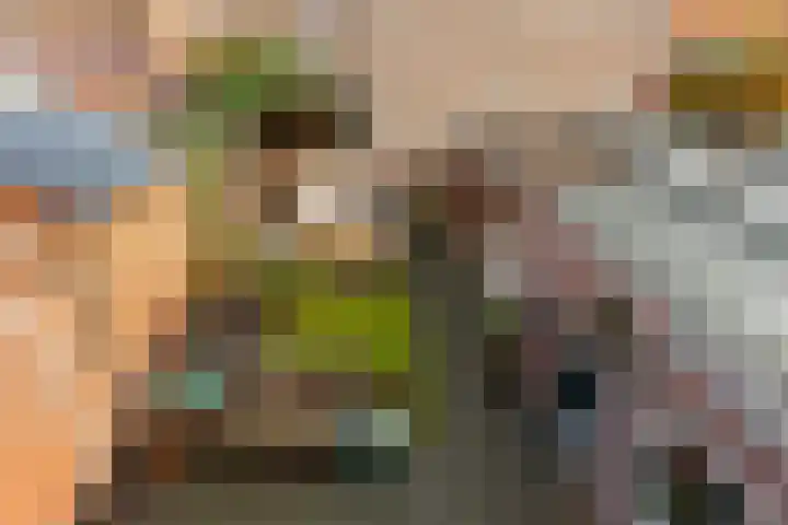 Fop Smitstraat 29 Alblasserdam thumbnail 32