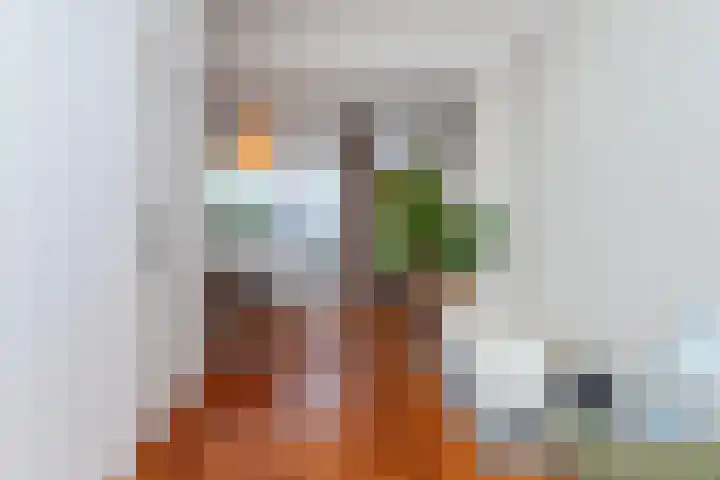Fop Smitstraat 29 Alblasserdam thumbnail 9