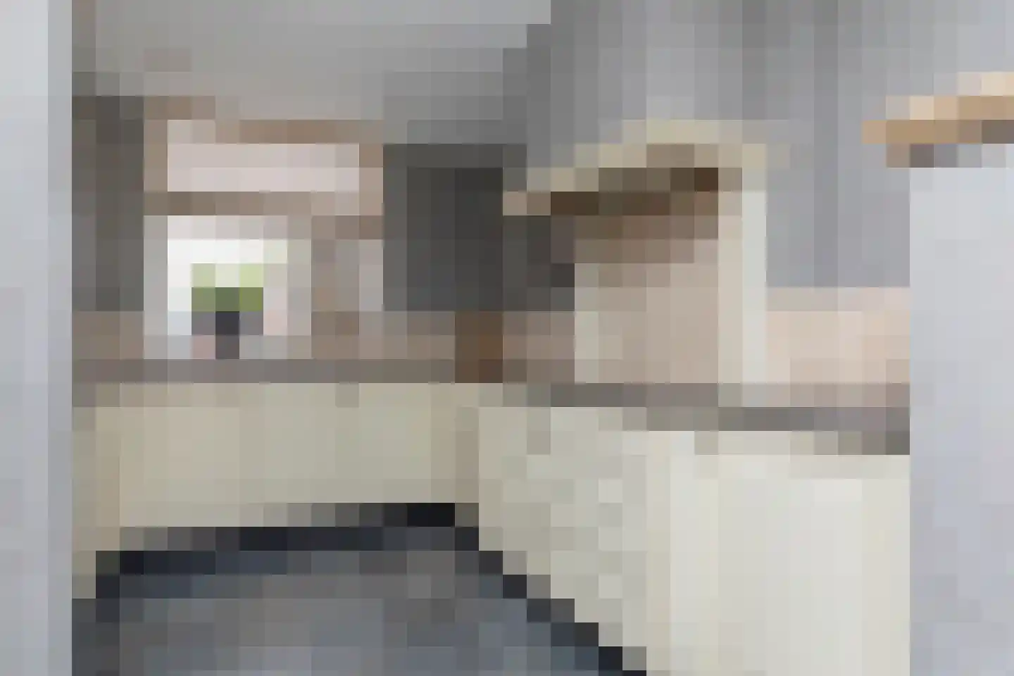 Fop Smitstraat 31 Nieuw-Lekkerland thumbnail 4