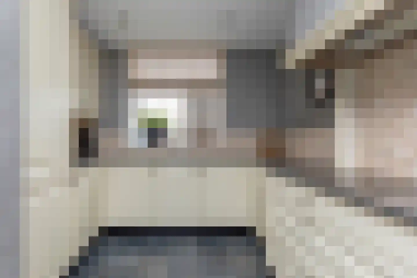 Fop Smitstraat 31 Nieuw-Lekkerland thumbnail 6