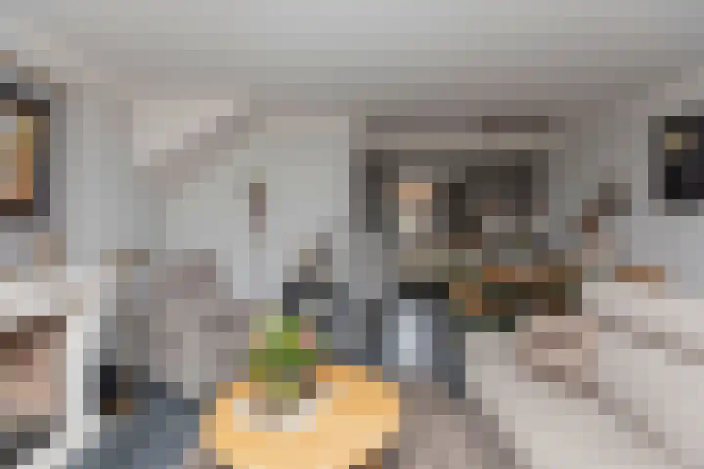 Fop Smitstraat 31 Nieuw-Lekkerland thumbnail 9