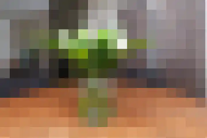 Fop Smitstraat 43 Alblasserdam thumbnail 13