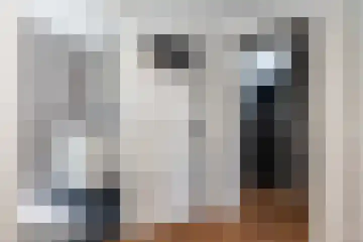 Fop Smitstraat 43 Alblasserdam thumbnail 23