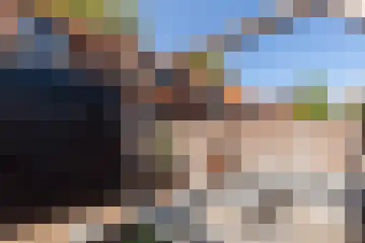 Fop Smitstraat 43 Alblasserdam thumbnail 42