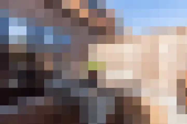 Fop Smitstraat 43 Alblasserdam thumbnail 43