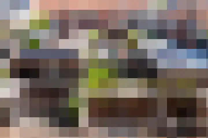 Fop Smitstraat 43 Alblasserdam thumbnail 46