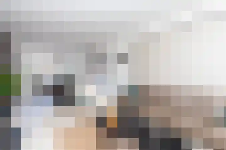 Fop Smitstraat 43 Alblasserdam thumbnail 6