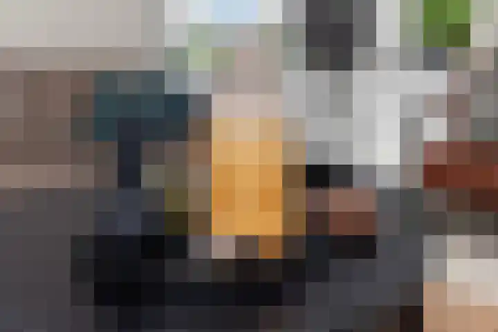 Fop Smitstraat 43 Alblasserdam thumbnail 7
