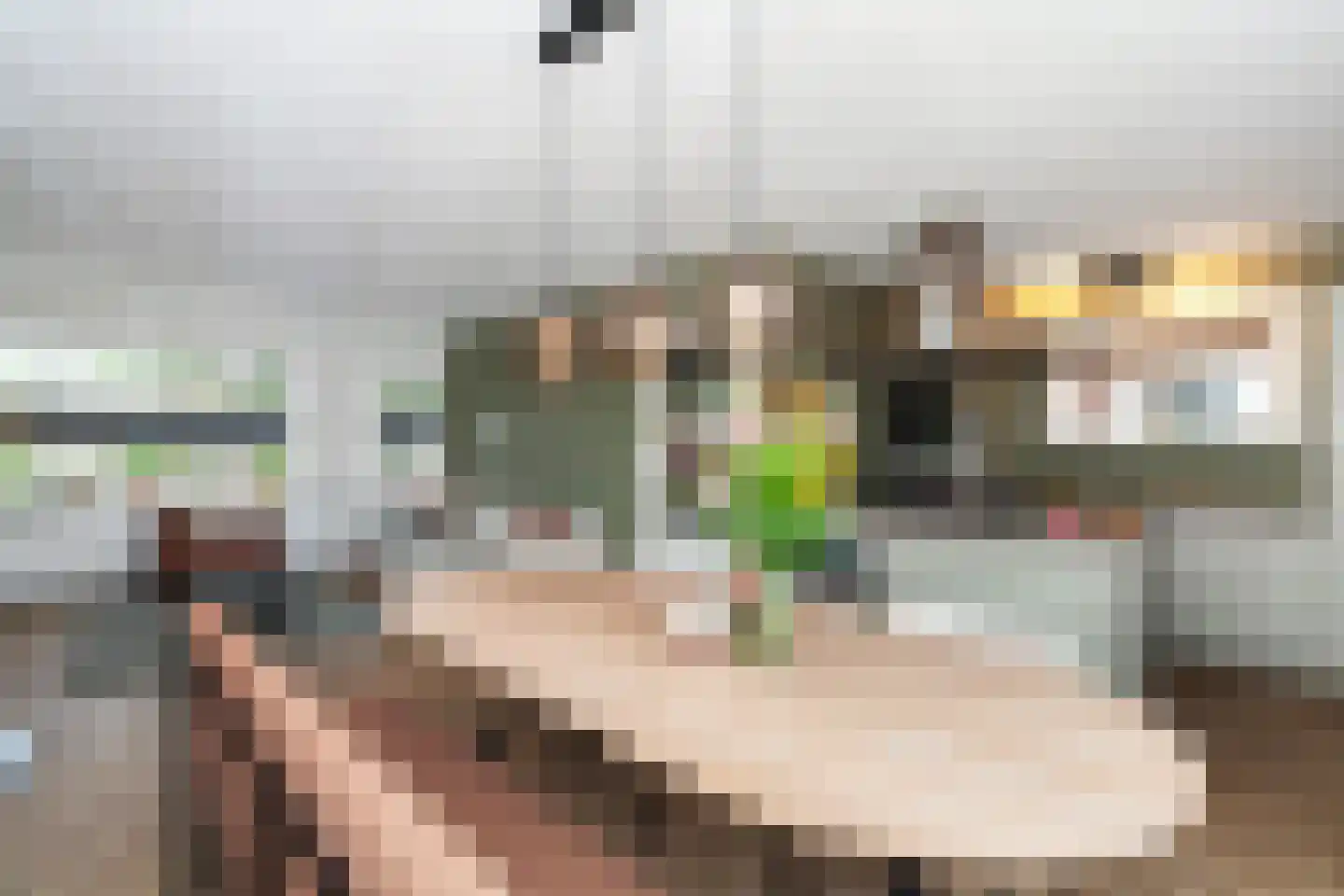 Fop Smitstraat 45 Alblasserdam thumbnail 12