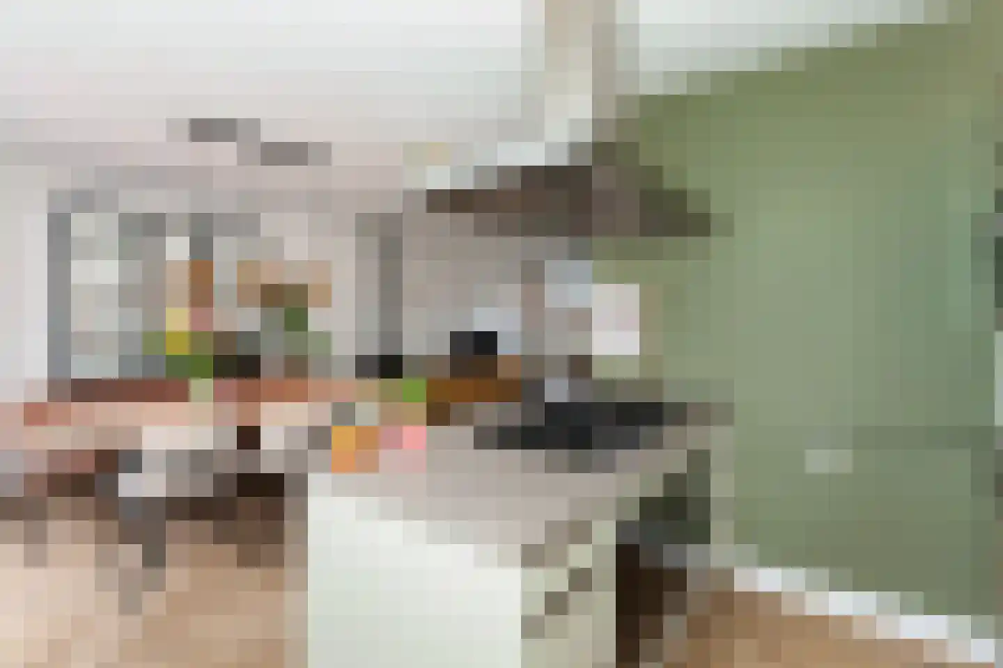 Fop Smitstraat 45 Alblasserdam thumbnail 14