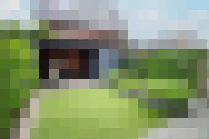 Fop Smitstraat 59 Alblasserdam thumbnail 20