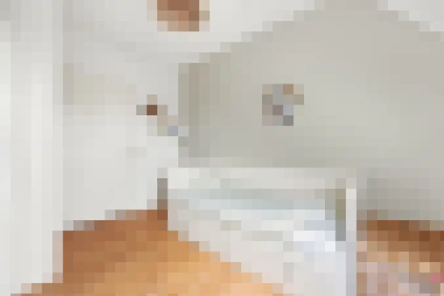 Fop Smitstraat 66 Alblasserdam thumbnail 39