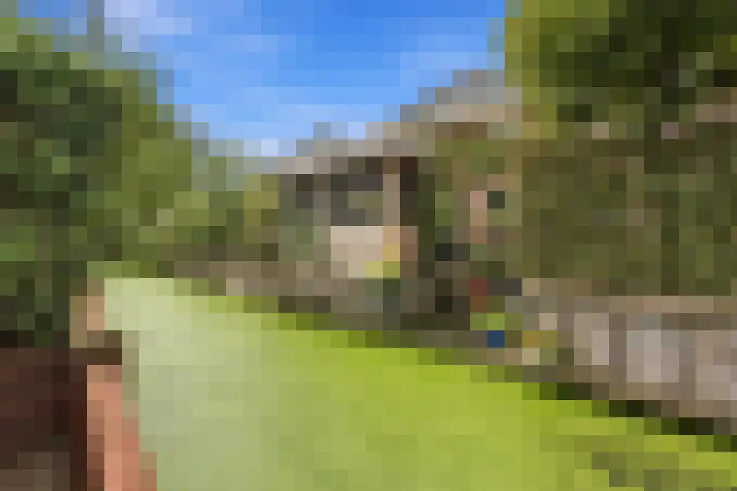 Fop Smitstraat 66 Alblasserdam thumbnail 45