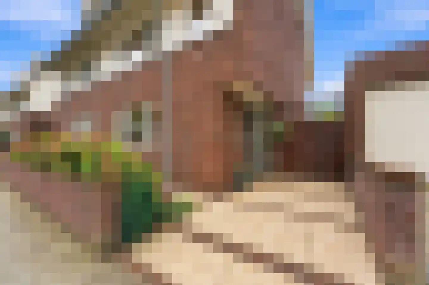 Fop Smitstraat 66 Alblasserdam thumbnail 50