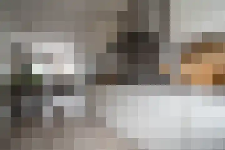 Fop Smitstraat 73 Alblasserdam thumbnail 13