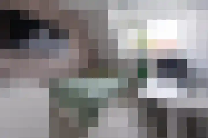 Fop Smitstraat 73 Alblasserdam thumbnail 18