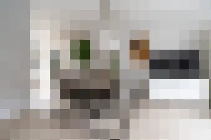 Fop Smitstraat 73 Alblasserdam thumbnail 5