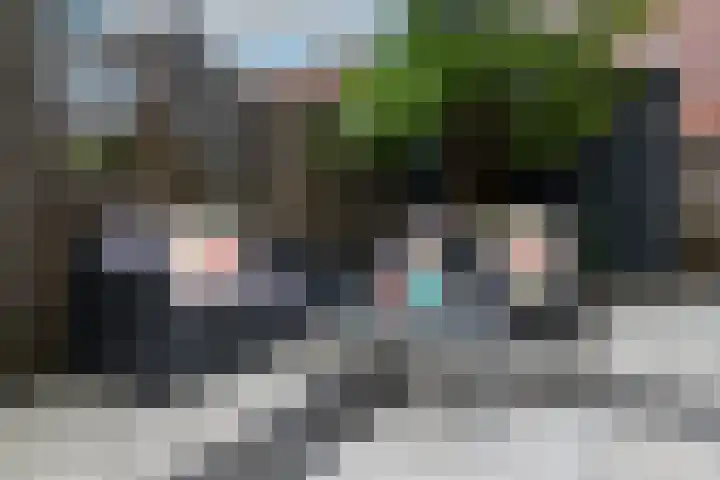 Fop Smitstraat 73 Alblasserdam thumbnail 8