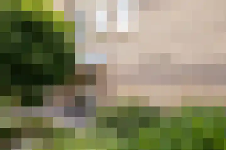 Fop van Drielstraat 35 Rotterdam thumbnail 30