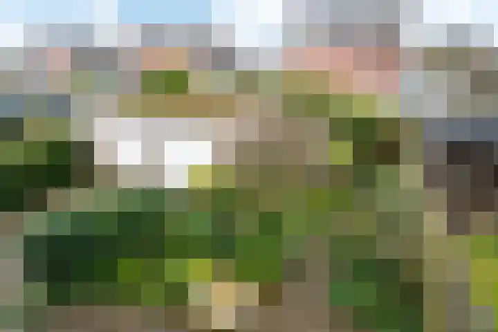 Fopma's reed 22 Wytgaard thumbnail 24