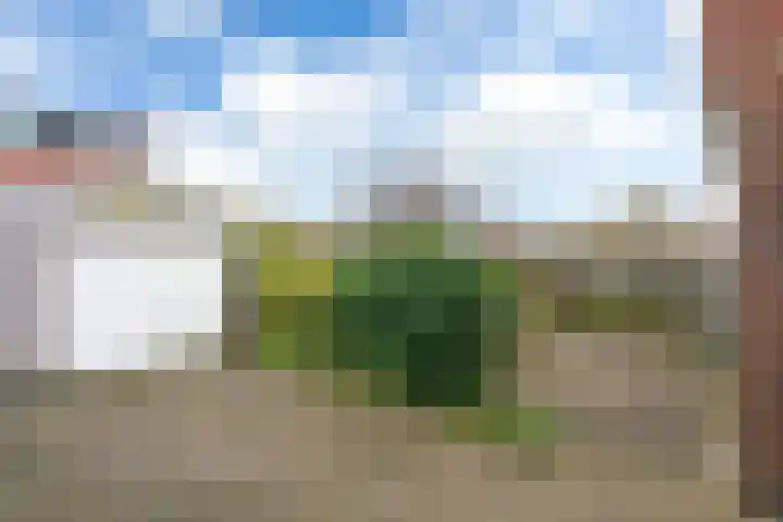 Fopma's reed 22 Wytgaard thumbnail 25