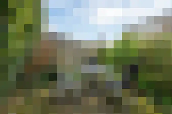 Fopma's reed 22 Wytgaard thumbnail 28