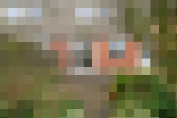 Fopma's reed 22 Wytgaard thumbnail 30