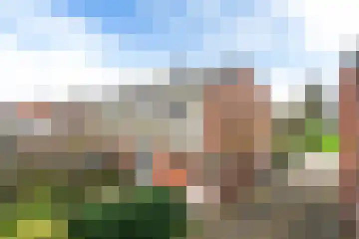 Fopma's reed 22 Wytgaard thumbnail 32