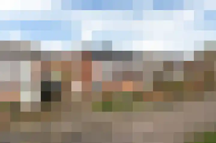 Fopma's reed 22 Wytgaard thumbnail 33