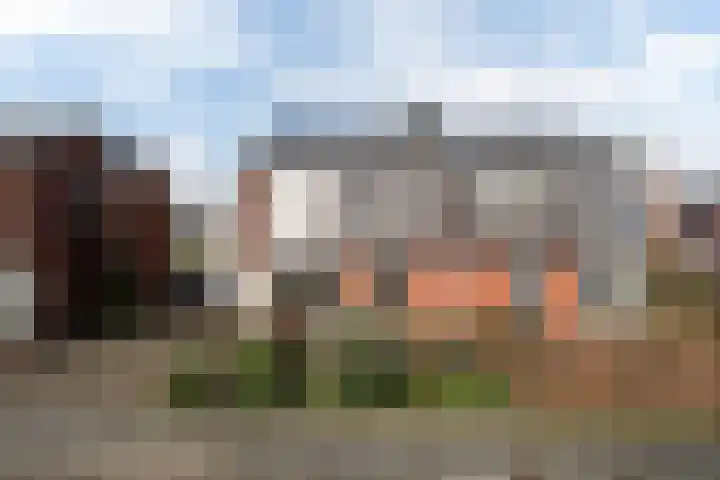 Fopma's reed 22 Wytgaard thumbnail 34