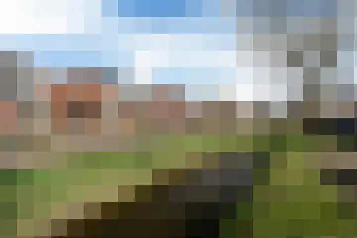 Fopma's reed 22 Wytgaard thumbnail 36