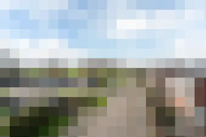 Fopma's reed 22 Wytgaard thumbnail 37