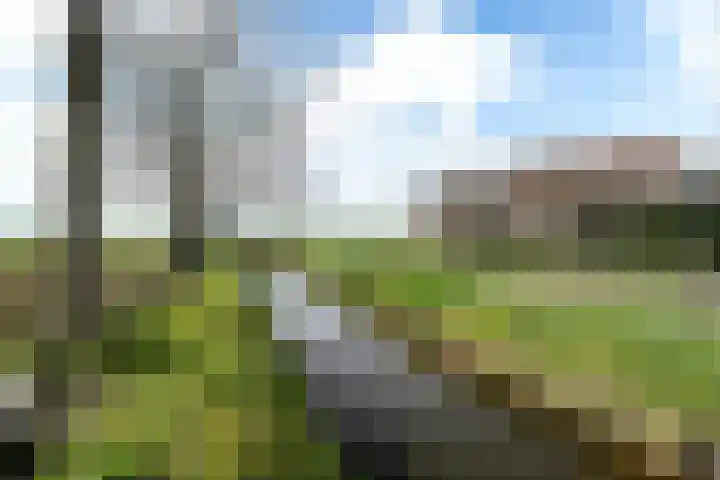 Fopma's reed 22 Wytgaard thumbnail 38