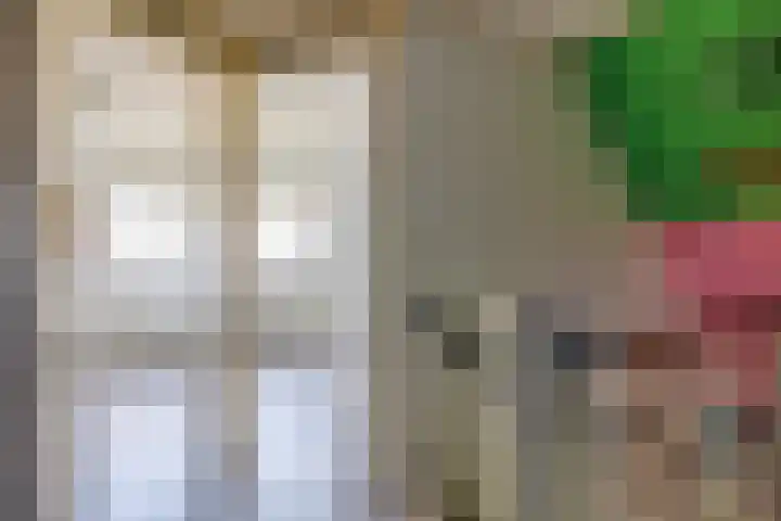 Foppedunenweg 3 Buren thumbnail 16