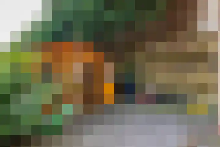 Foppedunenweg 3 Buren thumbnail 23