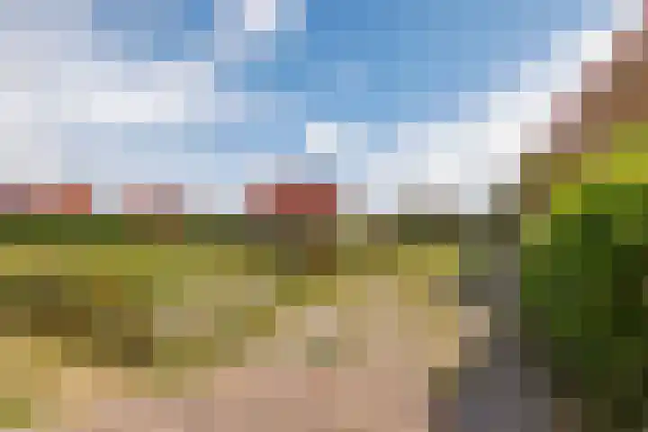 Foppedunenweg 3 Buren thumbnail 30