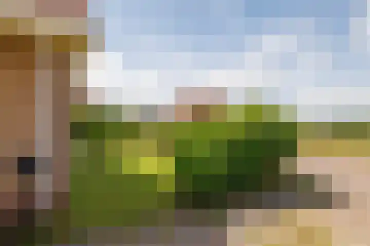 Foppedunenweg 3 Buren thumbnail 31