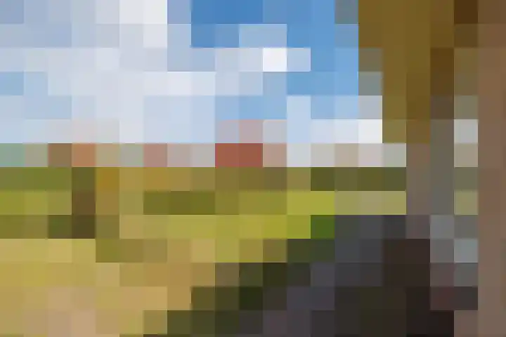 Foppedunenweg 3 Buren thumbnail 32