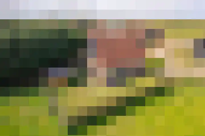 Foppedunenweg 3 Buren thumbnail 33