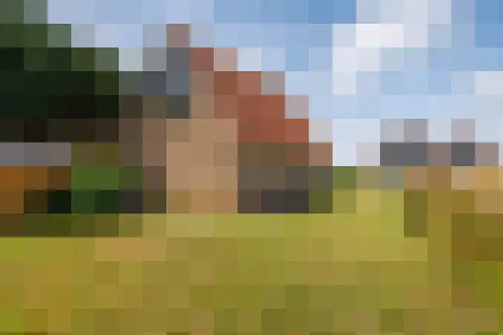 Foppedunenweg 3 Buren thumbnail 34